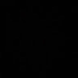 Meet your Posher, Stefanya